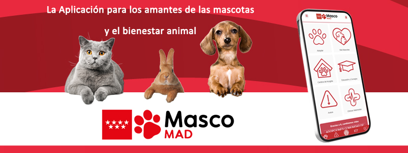 MascoMAD, la app para los amantes de los animales