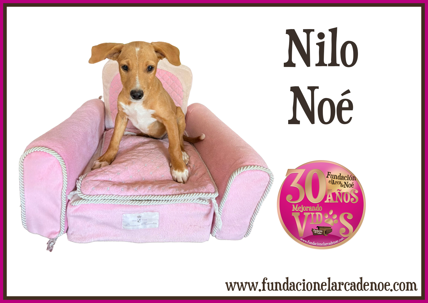Imagen de Nilo noé