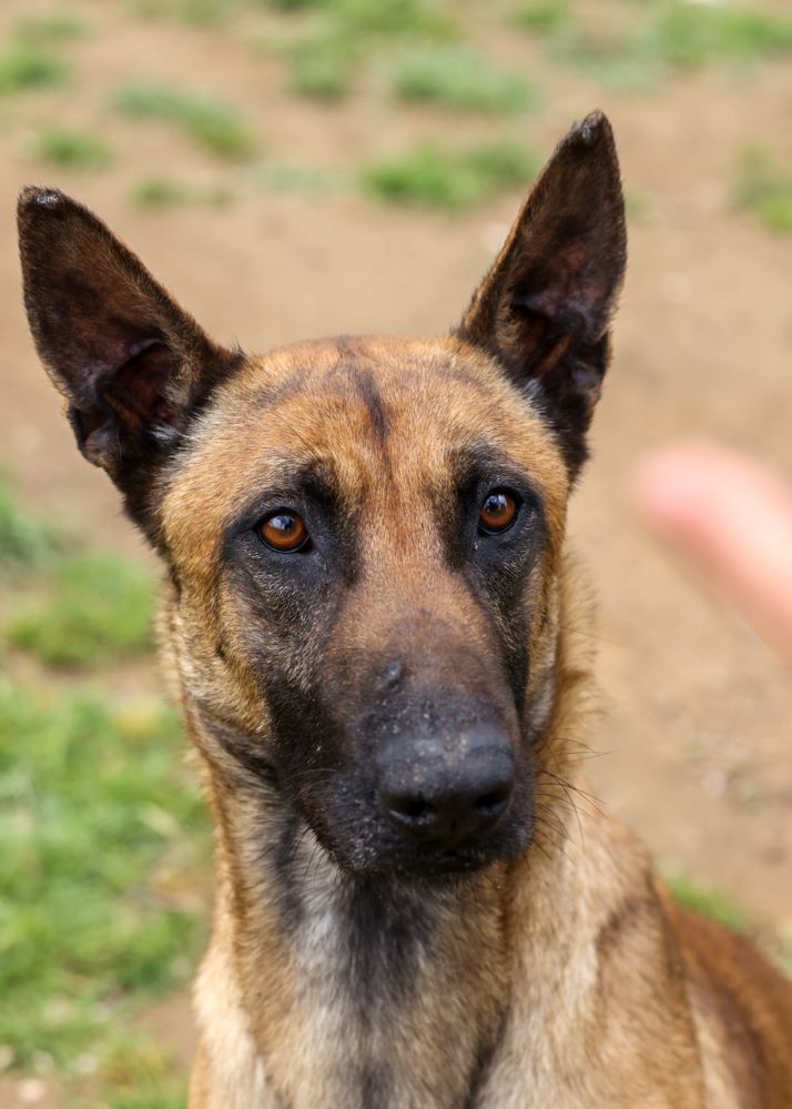 Imagen detalle