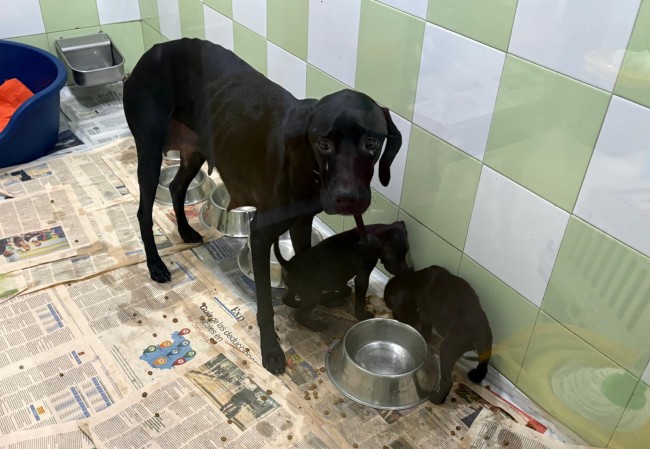 Imagen de Silvia Tropa