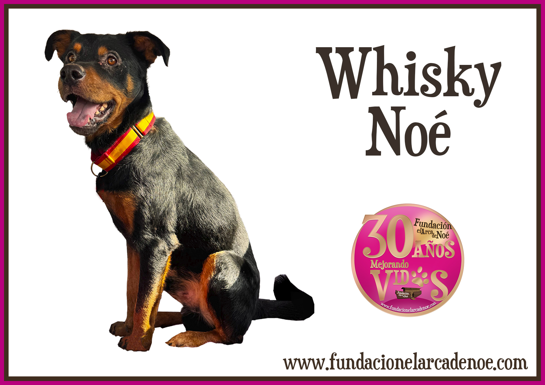 Whisky noé