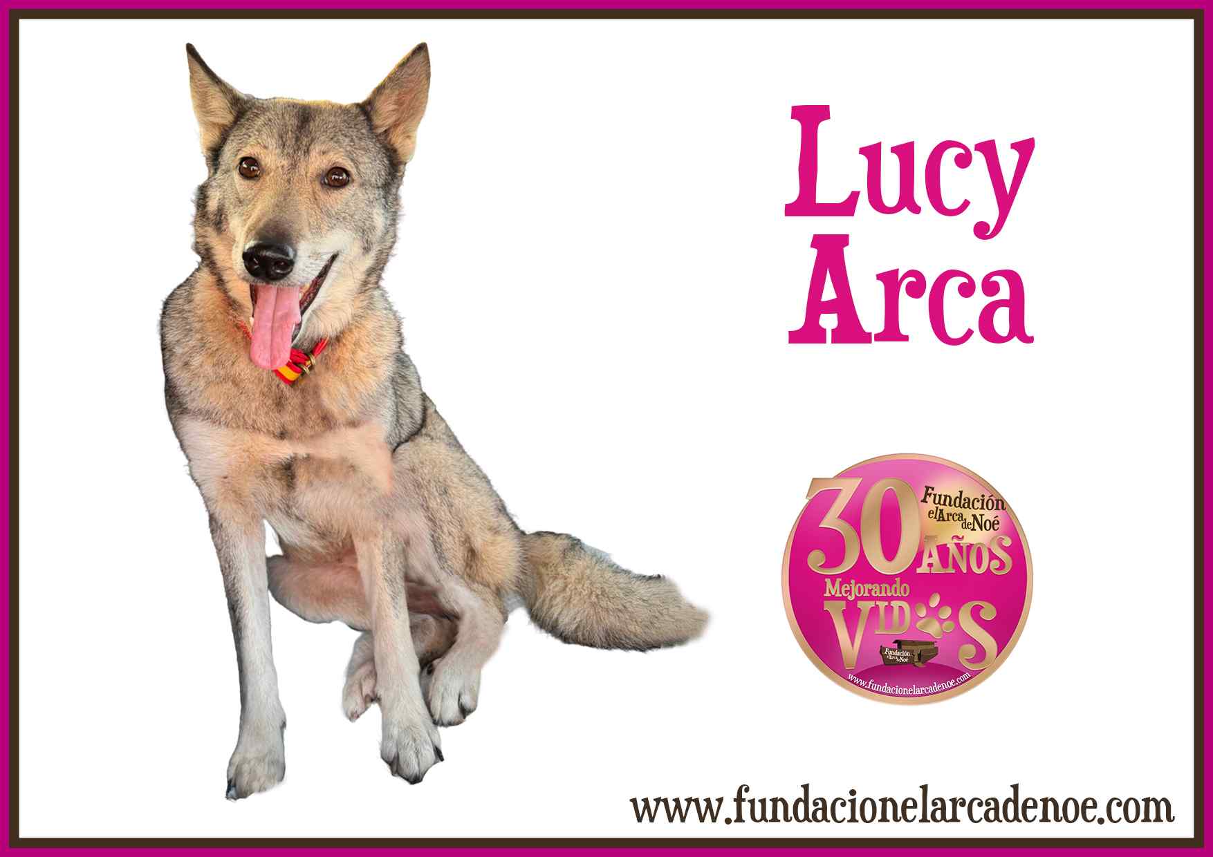 Imagen de Lucy arca