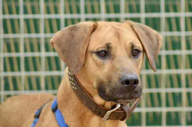 Imagen de Aveiro Punto