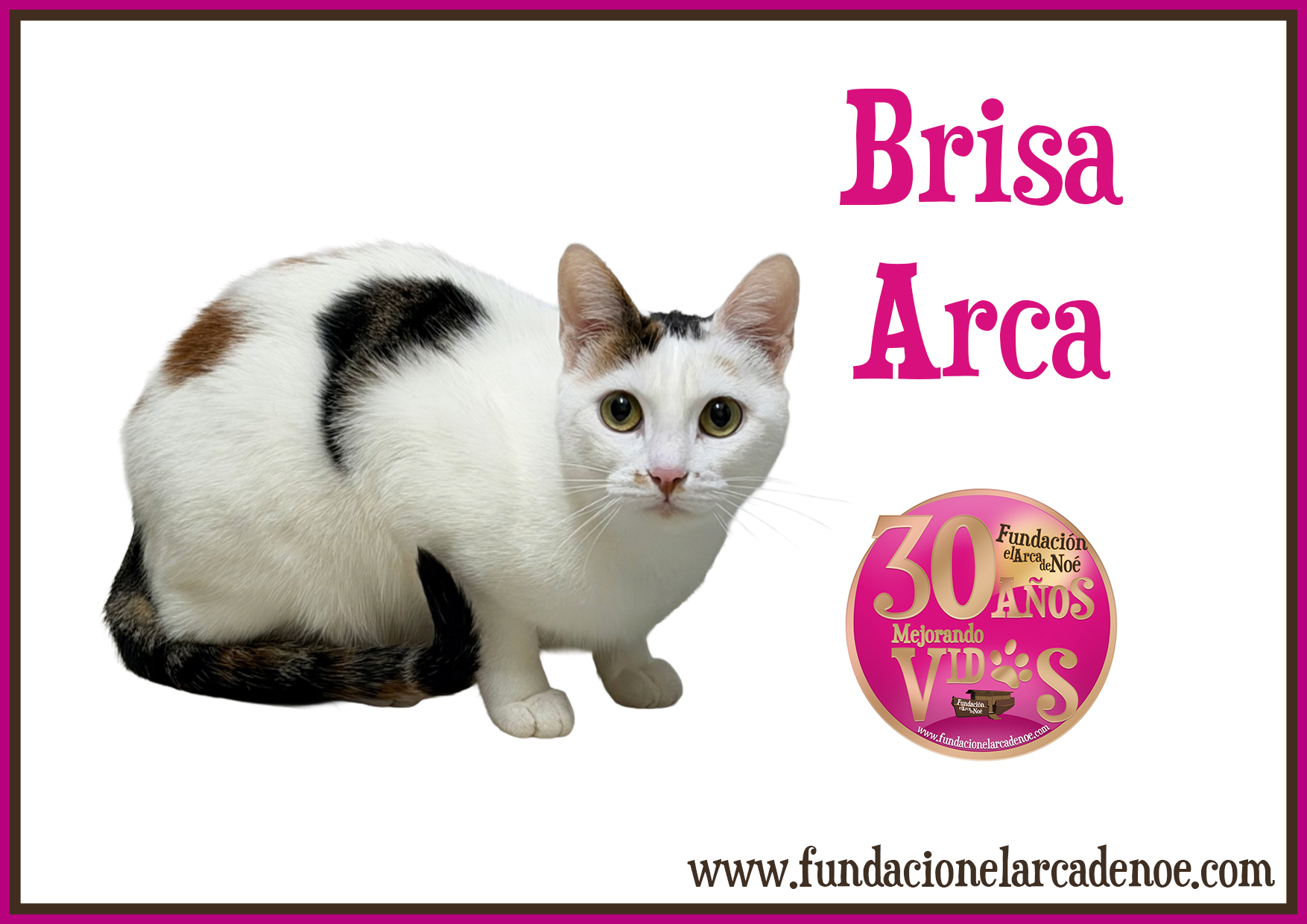 Imagen de Brisa arca