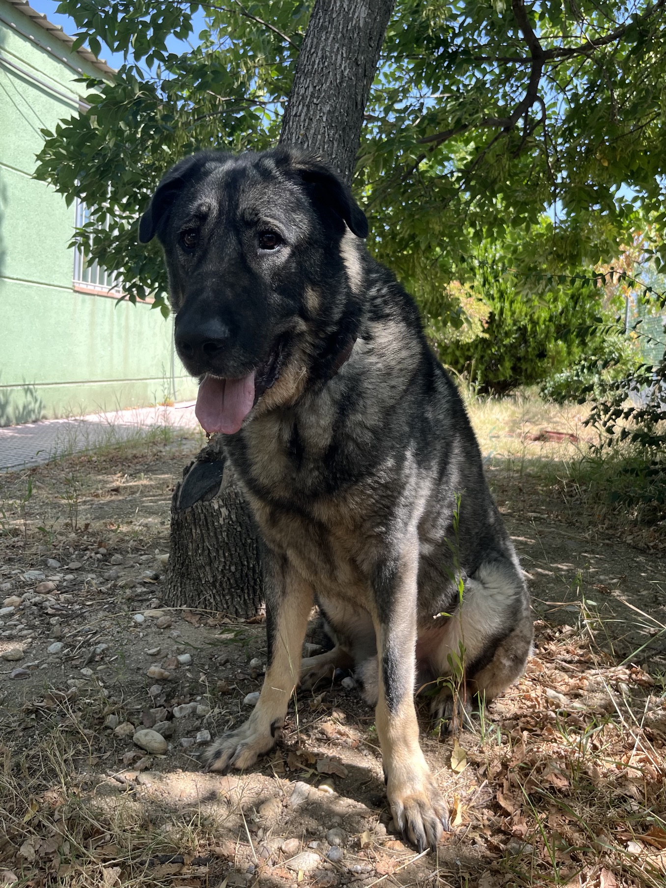Imagen de Eros