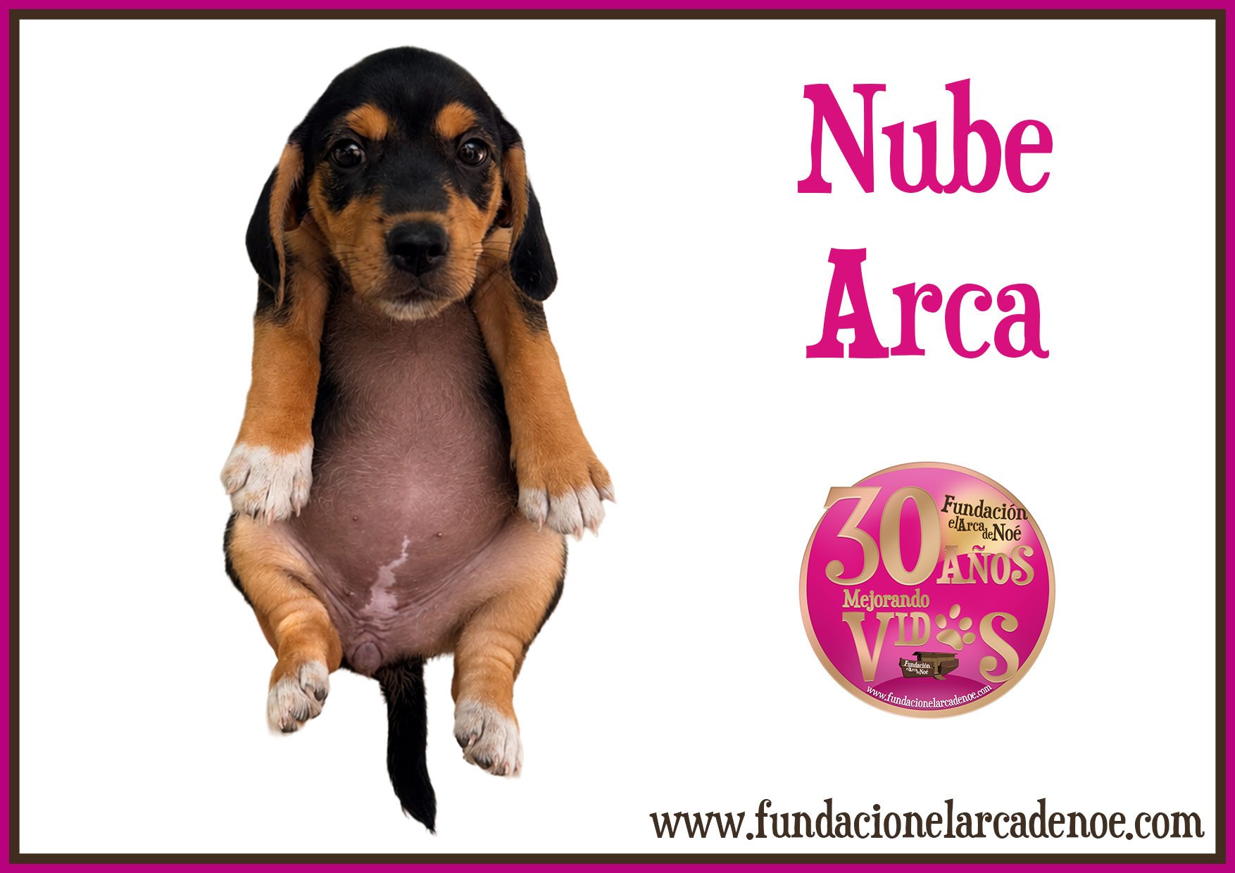 Nube arca
