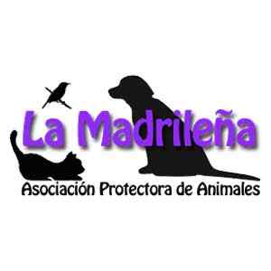 Imagen del centro de acogida  La madrileña