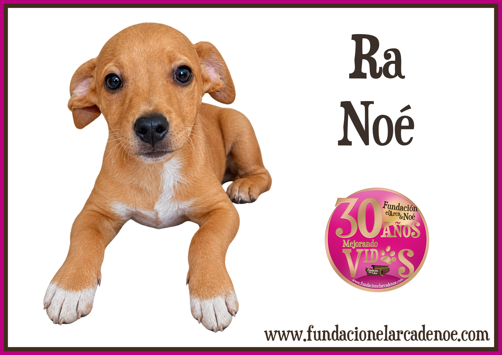 Imagen de Ra noé