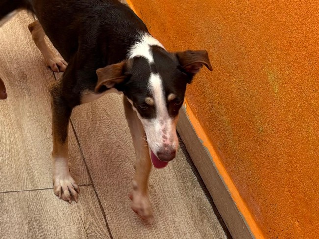 Imagen de Julieta Tara