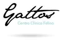 Imagen de GATTOS, Centro Clínico Felino