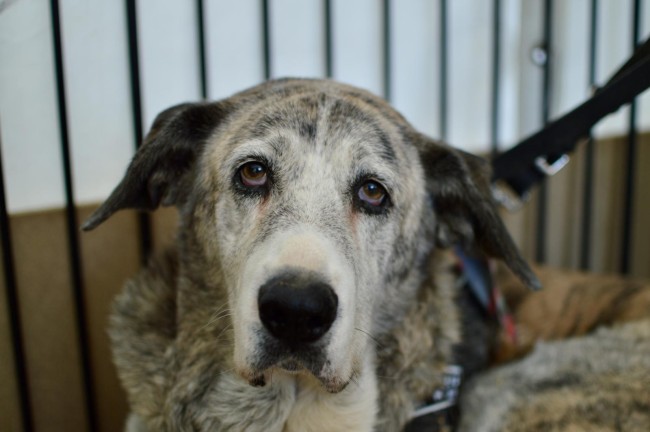 Imagen de Margot Mika