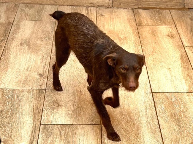 Imagen de Cocolat T.