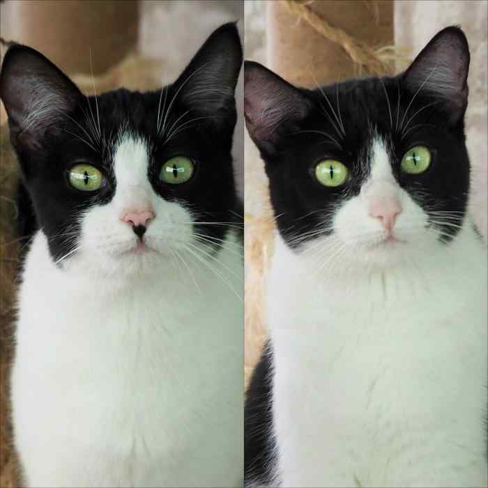 Imagen de Rosa & Berta