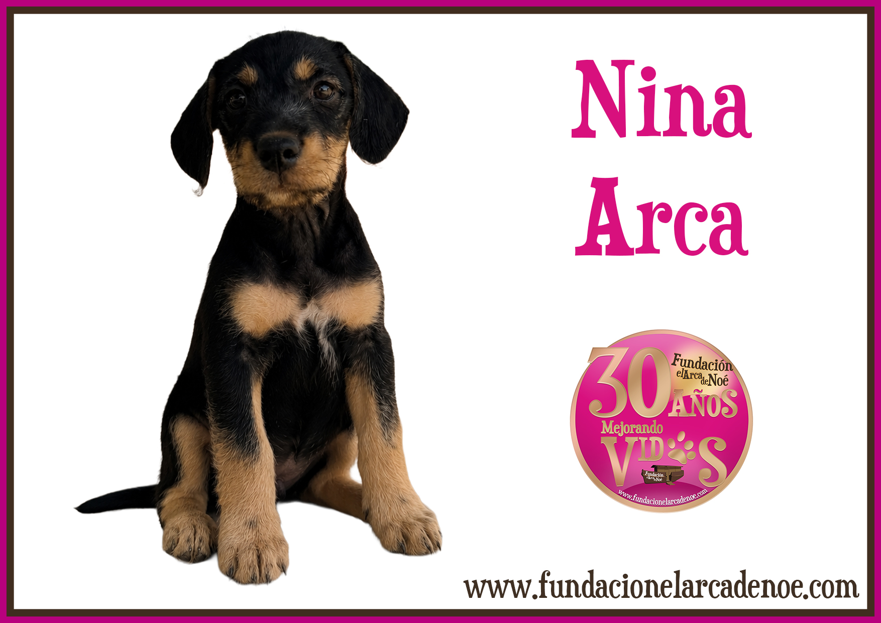 Nina arca