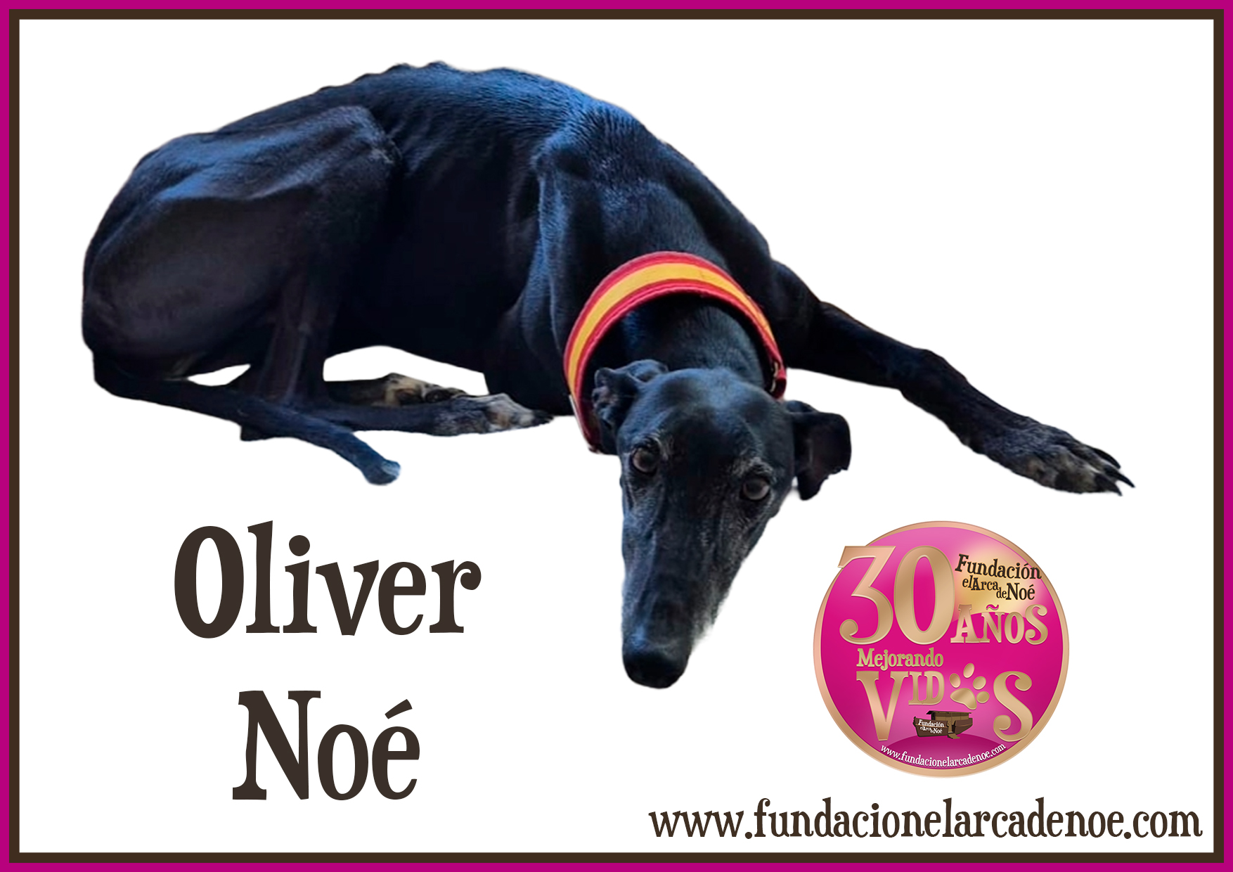 Imagen de Oliver noé