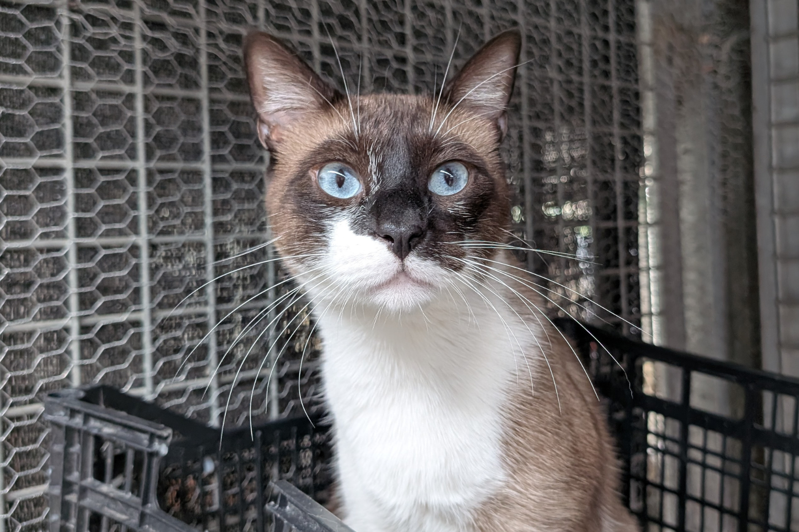 Imagen de COCO MANUEL