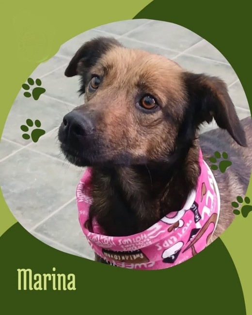 Imagen de Marina Cete