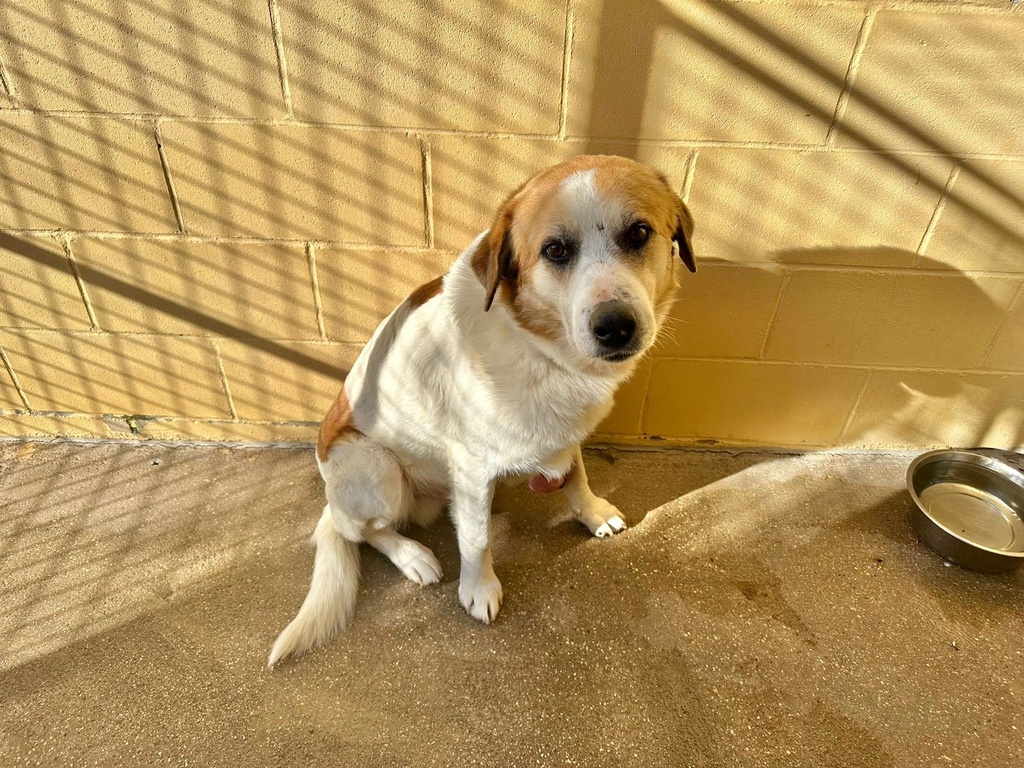 Imagen de RONALDIÑO