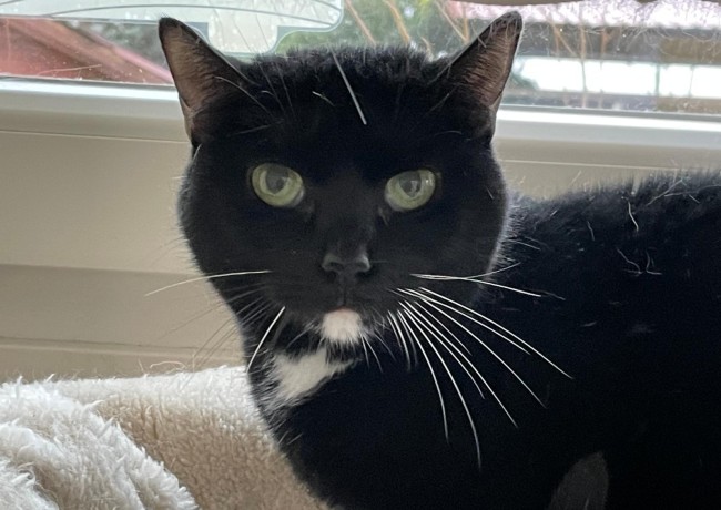 Imagen de Beira Fone