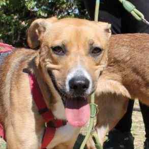 Imagen de Madrileña