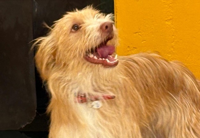Imagen de Rufo Arga