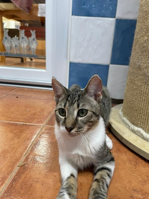 Imagen de Tarso Camper