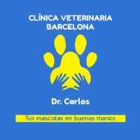 Imagen de CLINICA VETERINARIA BARCELONA