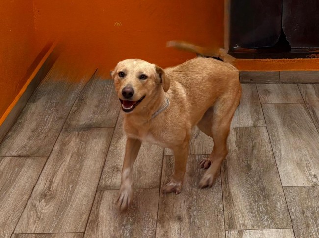 Imagen de Kenia Tala