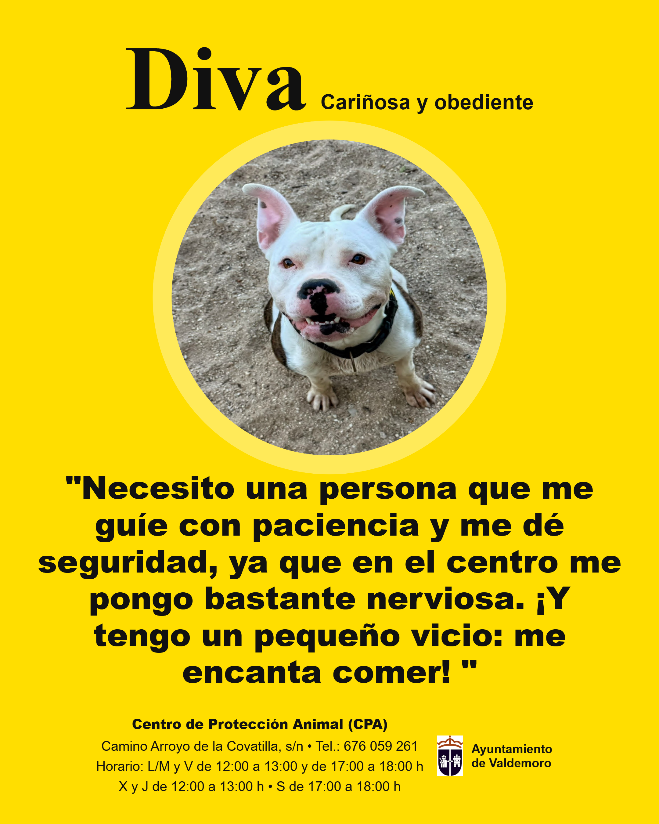 Imagen de DIVA