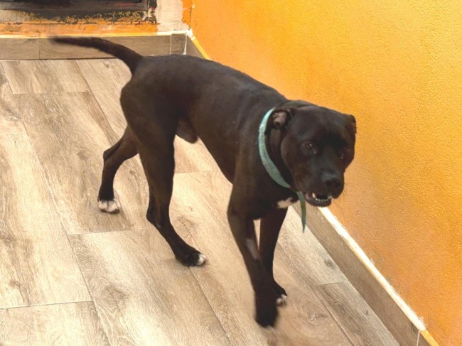 Imagen detalle