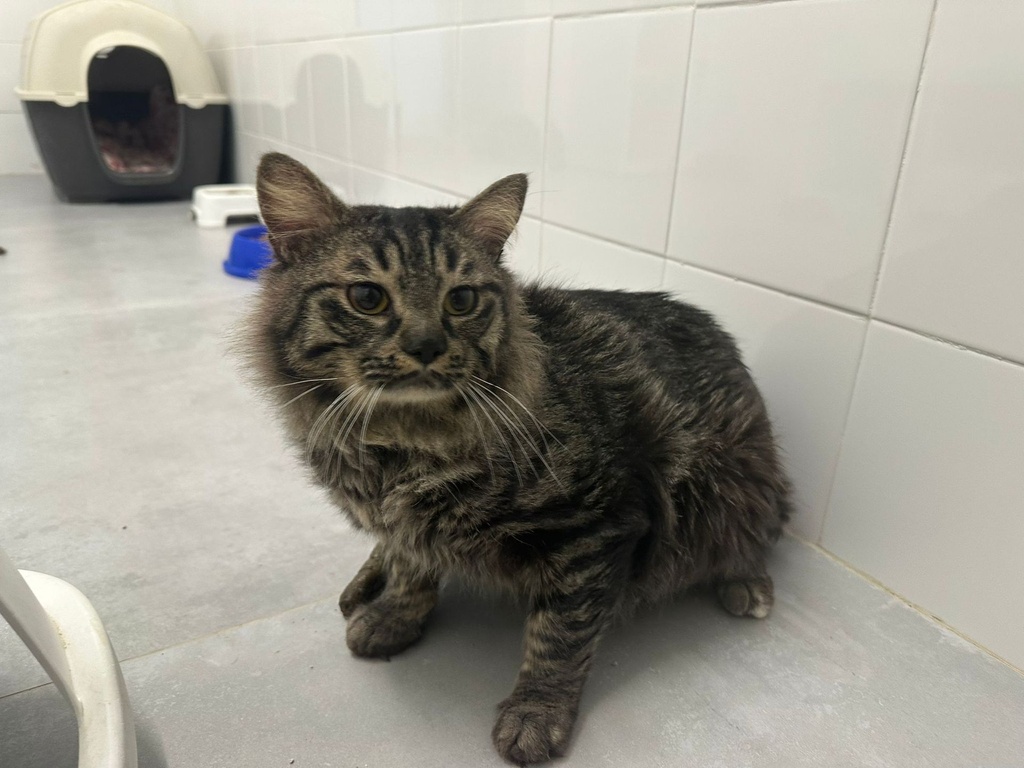 Imagen de NOSYBE ERAS