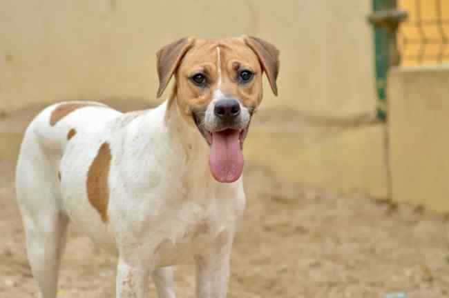 Imagen de Tania Punto