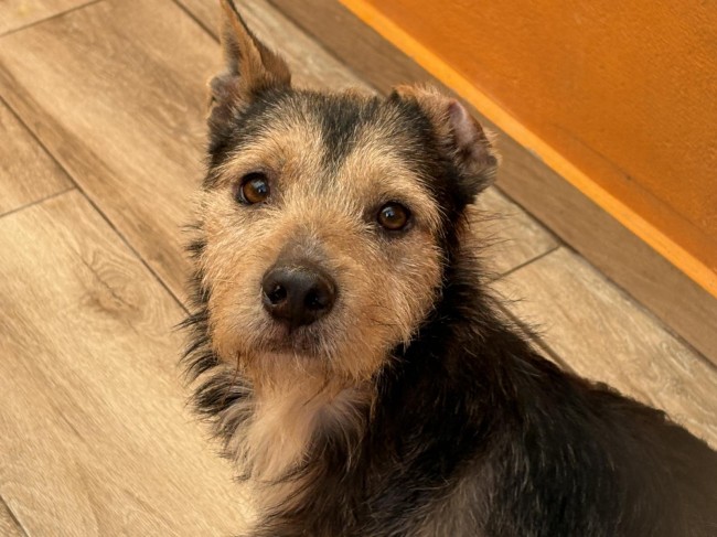 Imagen de Mekong Dina