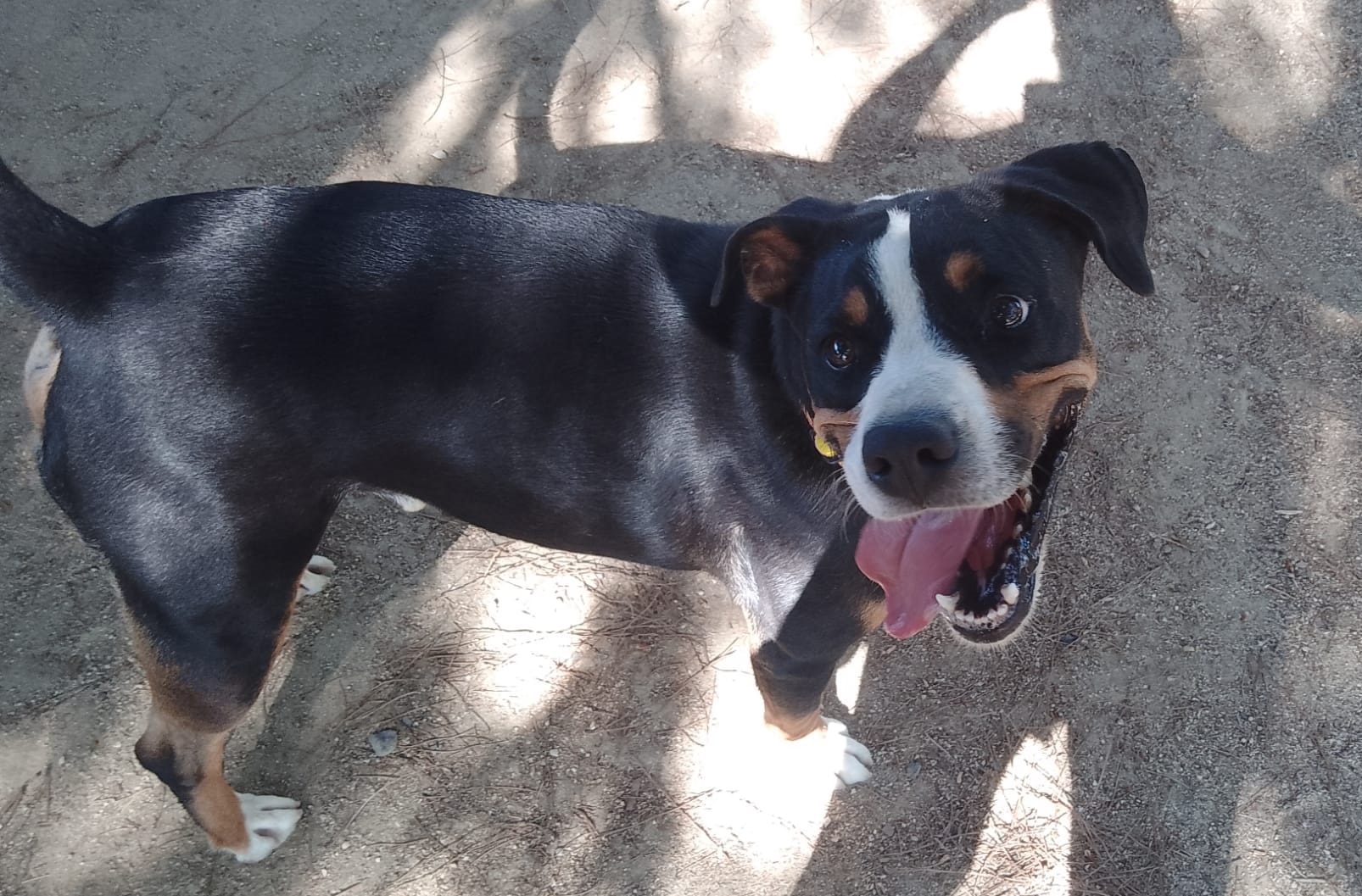 TRITÓN