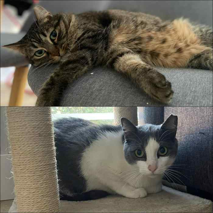 Imagen de Prince & Princesa *Urge*