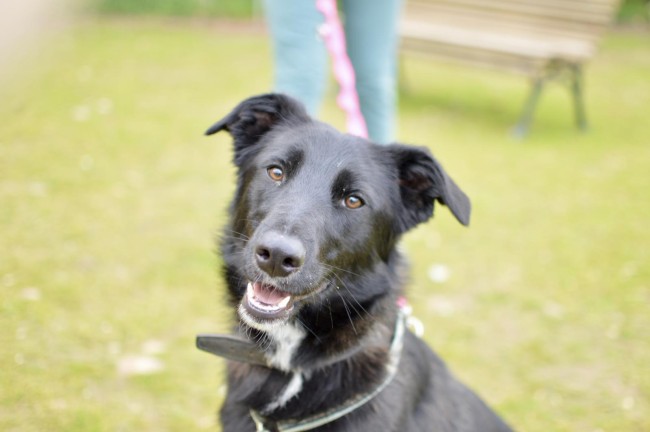 Imagen de Pimienta Pink