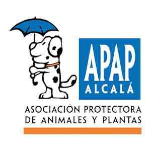 Centro de acogida APAP Alcalá