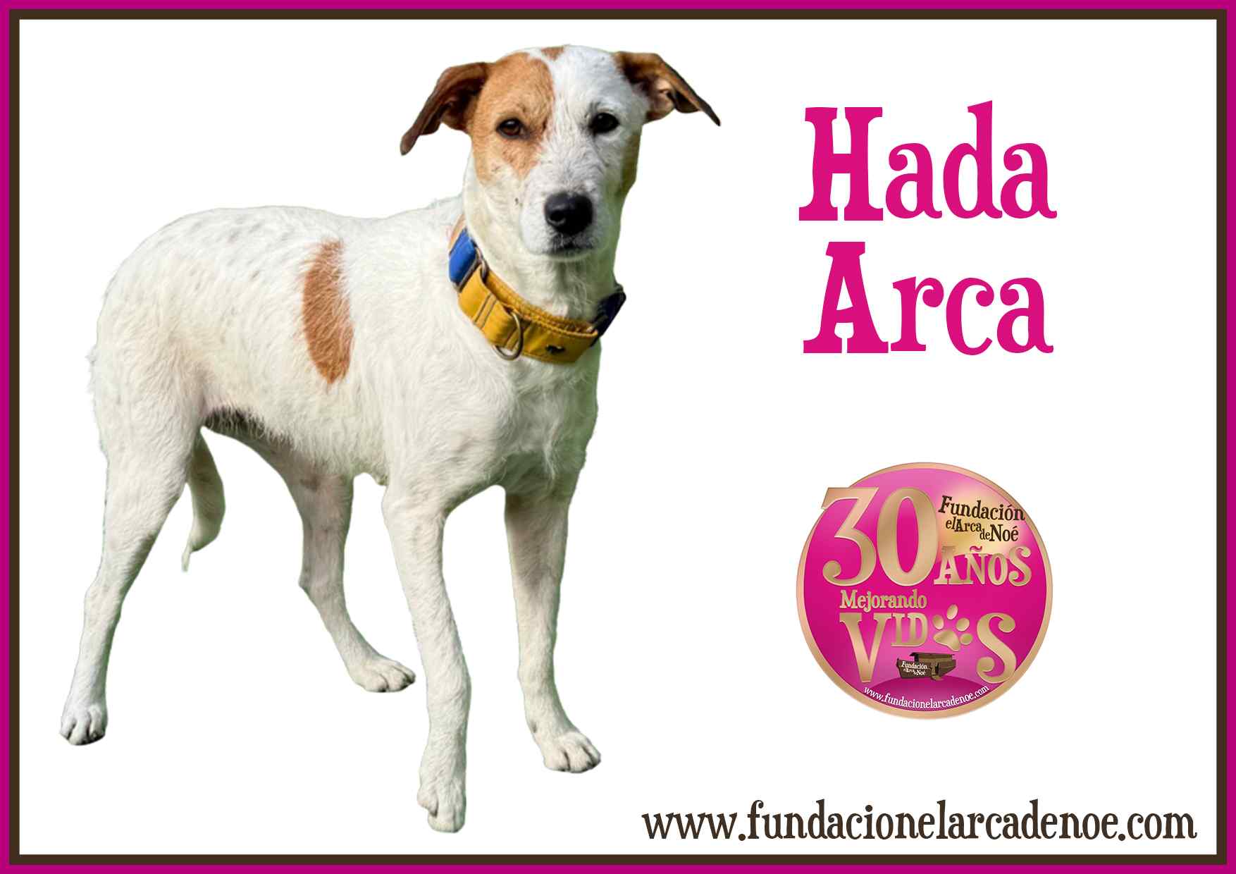 Imagen de Hada arca