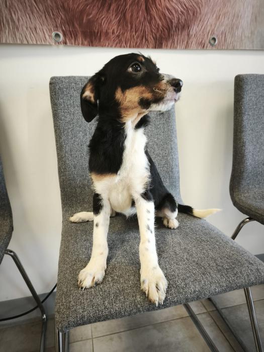 Imagen de Stormy (reservada)