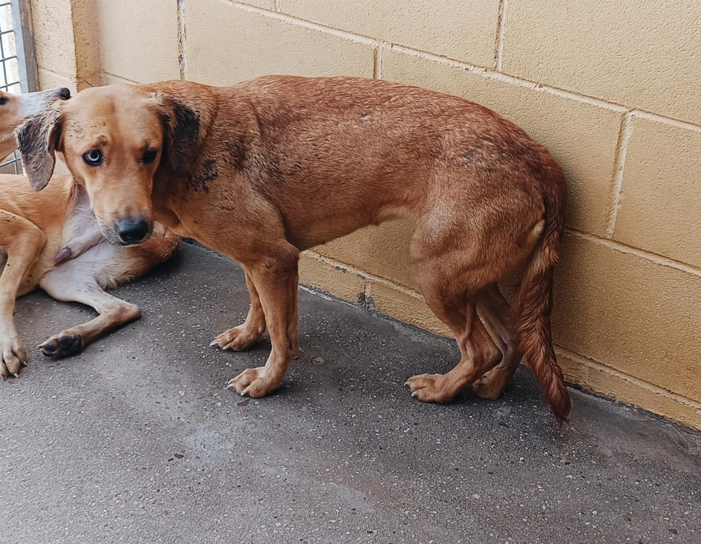 Imagen de ENCINA ARGANDA