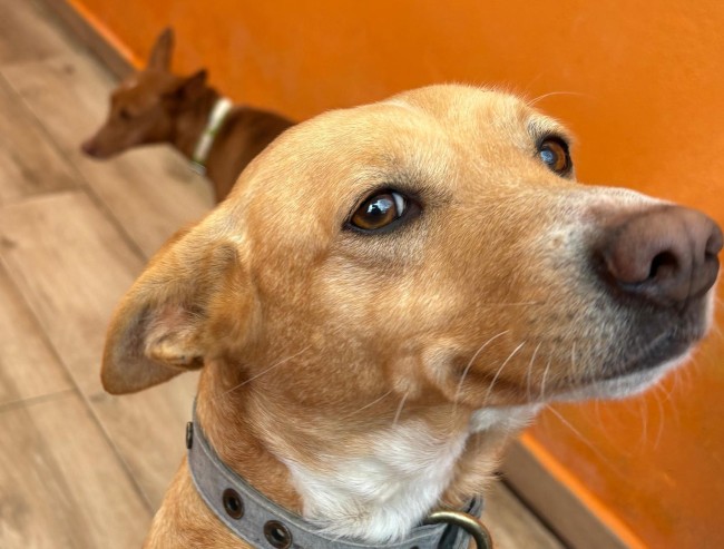 Imagen de Esther Tara