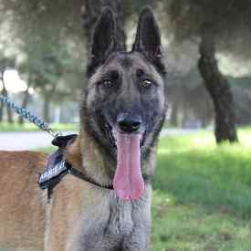 Imagen de Maybelline