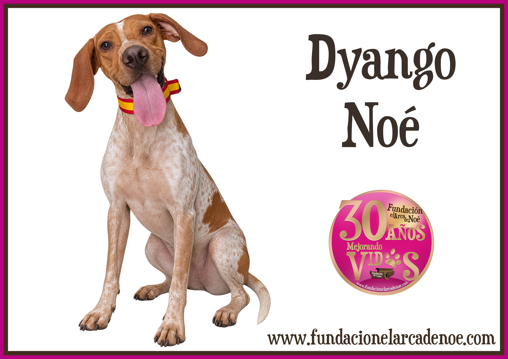 Imagen de Dyango noé