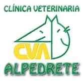 Imagen de CLINICA VETERINARIA ALPEDRETE