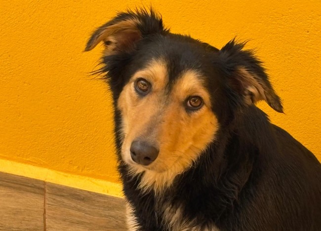 Imagen de Tuyena Dina