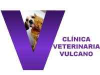 Imagen de CLÍNICA VETERINARIA VULCANO
