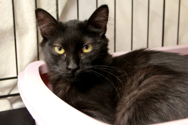 Imagen de Floyd Ferrer