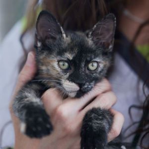 Imagen de Kaela
