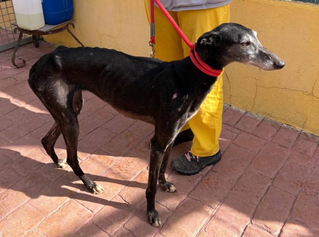 Imagen de Africa Dina