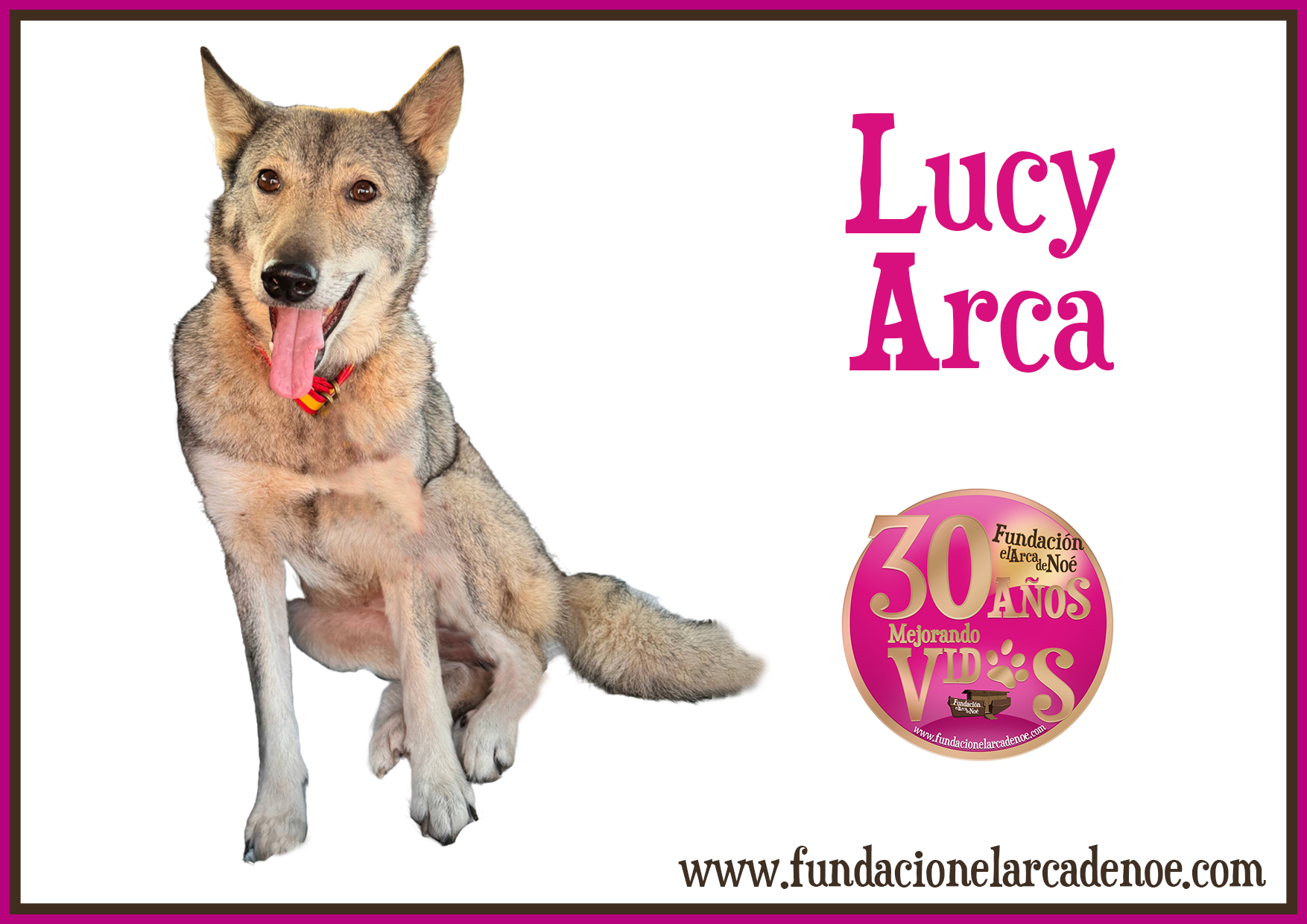Lucy arca
